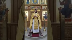Не всякий наследует Царство Божие. Какова воля Отца Небесного. Проповедь о. Вячеслава. 10.6.26