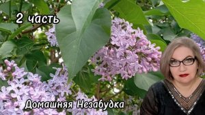 2 часть. Именинник фигов(куча)❗️Там тебе жОна г@вна на палке приготовила❗️