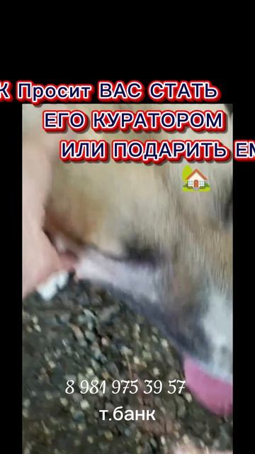Рик, два года уже ждёт....