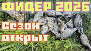 Фидер для молодого Леща