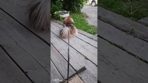Что продают...