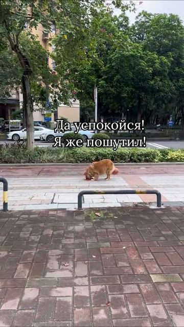 Нервная какая 😁