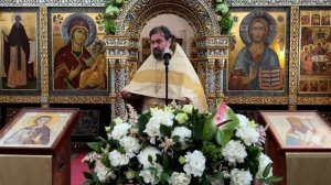 Мы странники на земле. Протоиерей Андрей Ткачев