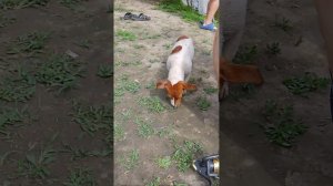 Отдыхаем на природе 🌿🌾