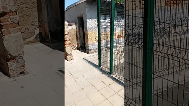 влог с поездки в центр смотреть онлайн