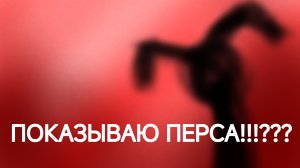 ПОКАЗЫВАЮ ПЕРСА??!!😍