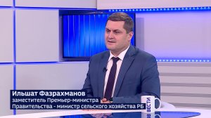 В Башкортостане завершилась посевная кампания – аграрии засеяли 2 млн гектаров