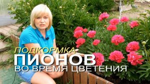 🌺Подкормка ПИОНОВ во время ЦВЕТЕНИЯ.