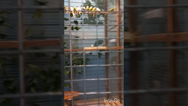 идём в зоопарк