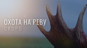 Охота на реву / Скоро на канале