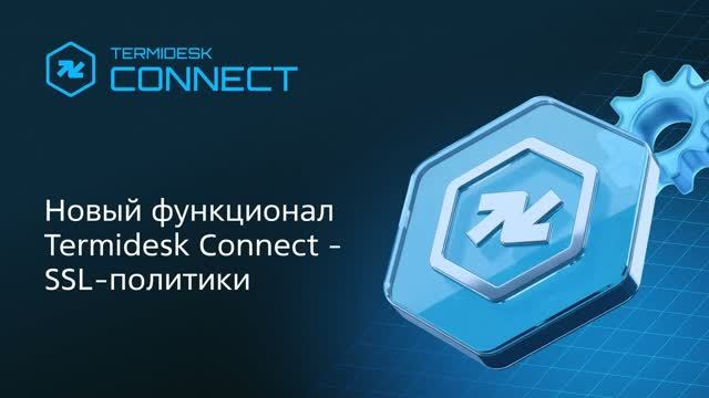 Новый функционал Termidesk Connect - SSL политики