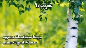 Берёзы