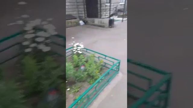 ahlelele ahleambush сезон 3