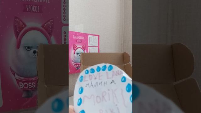 1000000272.mp4 смотреть онлайн