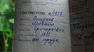 не солоно на хлебавшись