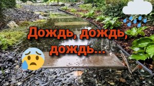 Дождь, дождь, дождь ...