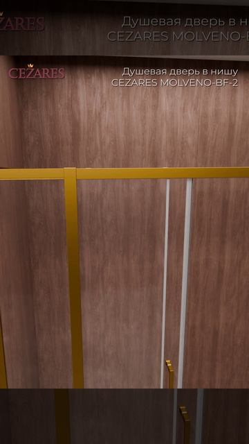MOLVENO-BF-2-170-C-BORO-IV Душевая дверь