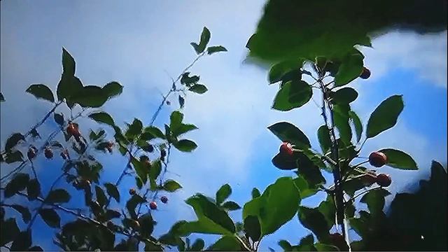 Покинь меня, боль...