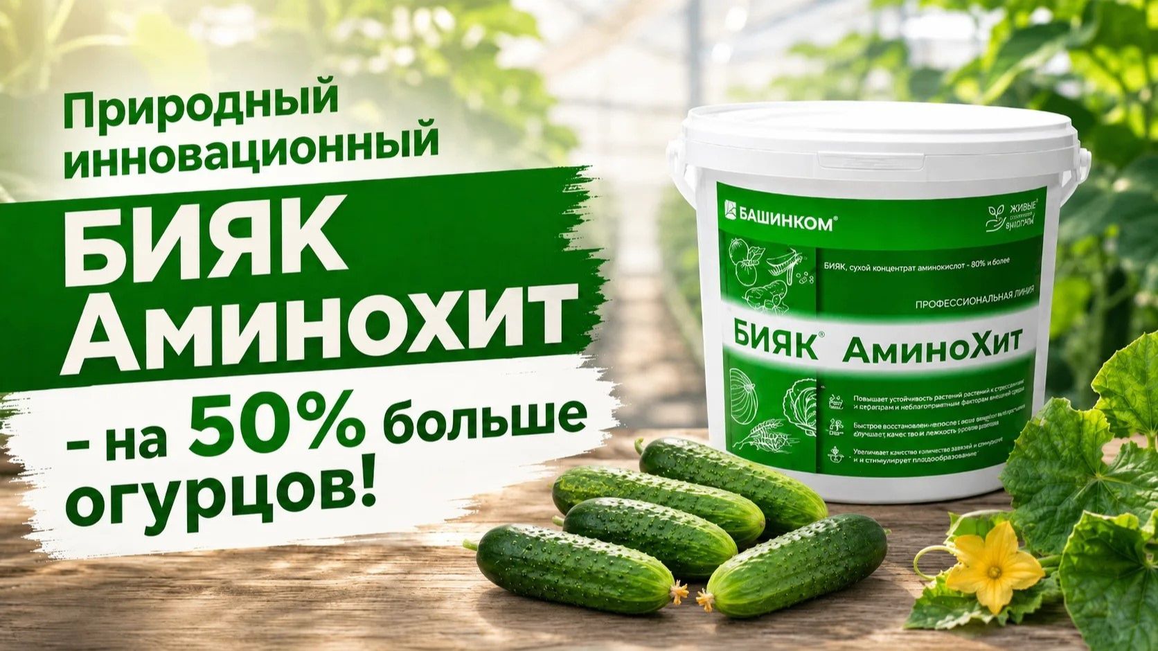 Урожай в 2 раза больше. Как? Используйте Аминохит