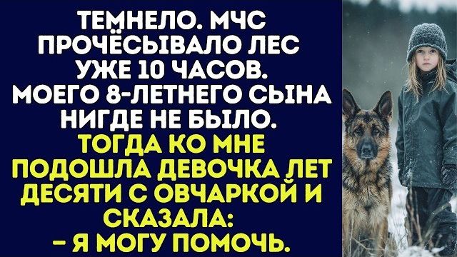 Истории из жизни|Темнело. МЧС|Аудио рассказы|Аудиокниги слушать онлайн|Жизненные истории смотреть онлайн