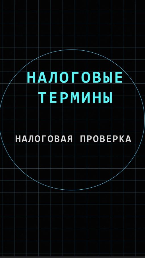 Налоговая проверка