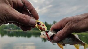 на что ловится сегодня. 10 июня
