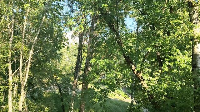 НЕ ПИШИТЕ ЕРУНДУ В КОММЕНТАРИЯХ НАДОЕЛИ СО СВОЕЙ ПУРГОЙ смотреть онлайн