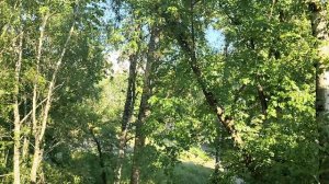 НЕ ПИШИТЕ ЕРУНДУ В КОММЕНТАРИЯХ НАДОЕЛИ СО СВОЕЙ ПУРГОЙ