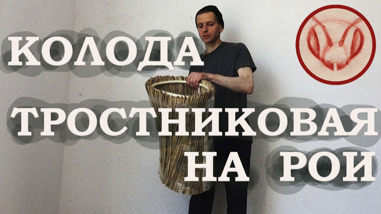 Тростниковая колода на рои