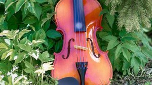 Скрипка музыка. Современная скрипка. Спокойная скрипка. Красивая скрипка. Грустная скрипка без слов