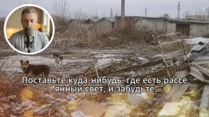 Когда мир наклонился влево: что изменилось в 62 года?