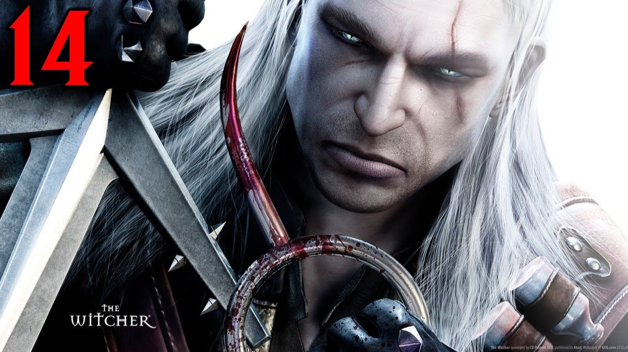 The Witcher - Часть 14 [Финал]