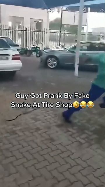 When the snake prankworks too well