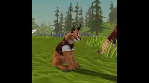 Мини фильм WildCraft «Сирота» 1 серия