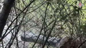 Боевая работа экипажей танков Т-80БВМ ГрВ «Центр»