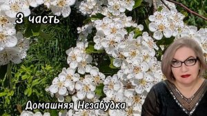 3 часть. ЛИЗЬ 💘 ЛЮБВИ❗️Куча пока не заслужила❗️С@пля жалуется на жестокость 😱❗️