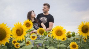 ПОДСОЛНУХИ -бесплатный проект для ФотоШоу ПРО