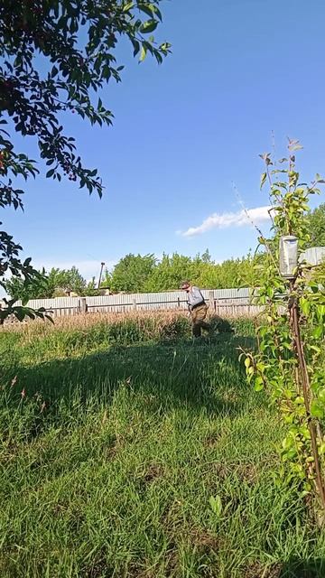 Природный Спортзал !!!