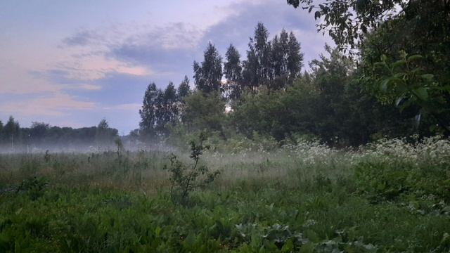 пение птиц для расслабления и сна