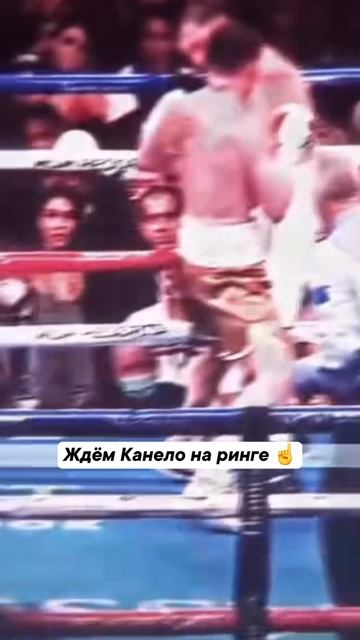 Альварес ещё вернется 🔥