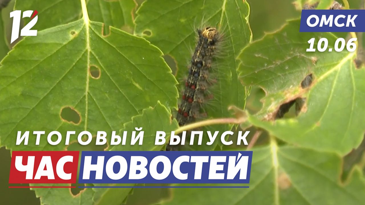 Шелкопряд / Театральный поезд / Коробка храбрости. Новости Омска