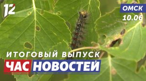 Шелкопряд / Театральный поезд / Коробка храбрости. Новости Омска