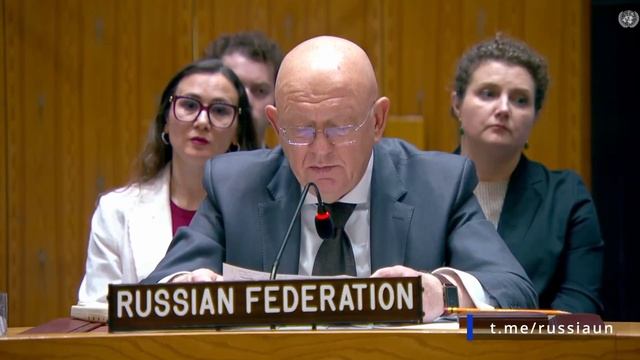 В.А.Небензя на заседании СБ ООН по работе «Комитета СБ 1737», Нью-Йорк, 9 июня 2026 года
