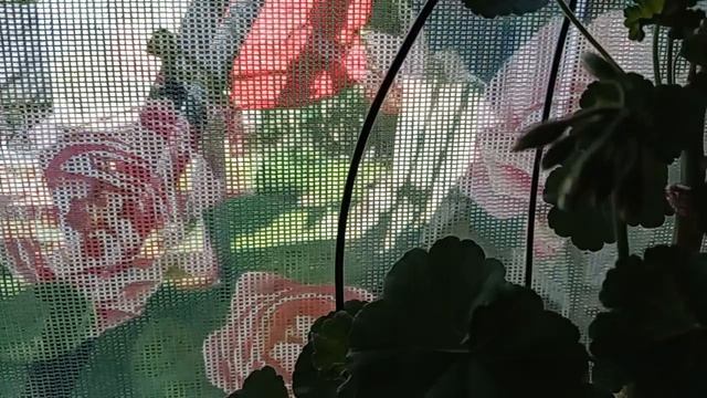 преукрасили убранства беседки .mp4 смотреть онлайн
