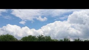 Ода вечной любви
