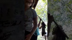 подыши а тут впервые какнул голубь
