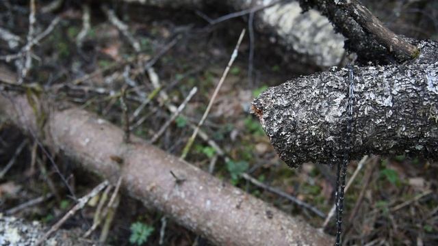Пила с зубьями как у бензопилы оказалась хуже?