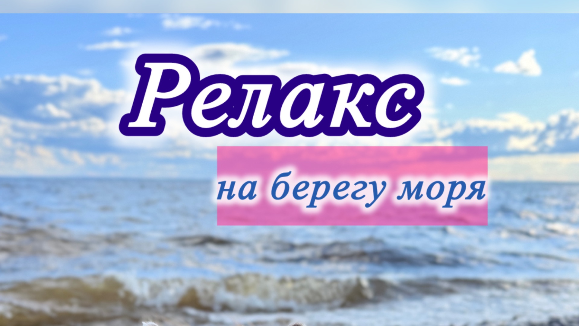 Релакс у моря: шум прибоя и лиловая чихуахуа наслаждаются солнечным утром| Звуки моря для медитации