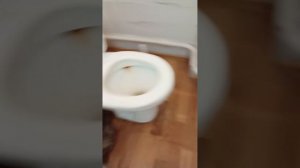 1000010784.mp4