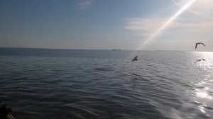 Любители перекусить!!!